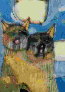 2 Katzen vor Wolken(1993).jpg